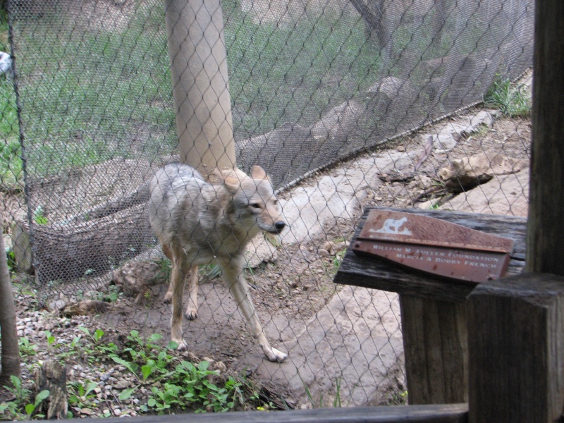 20100206 528.JPG
